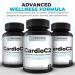 CardioC2 Circulation & Energy Support Doctor-Formulated Blend with Beet Root Black Garlic Hawthorn & CoQ10 Supports Healthy Blood Flow Energy & Clarity 60 Capsules - Buy Online on GoSupps.com