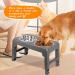 URPOWER Elevated Dog Bowls | Height Adjustable Raised Stand with 2 Stainless Steel Bowls | Non-Slip Stand for Small Medium Large Dogs and Pets | Grey - Buy Online on GoSupps.com