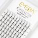 EMEDA Premade Fans Eyelash Extensions Mixed Tray 0.10 C D Curl 5D Premade Volume Eyelash Extensions Long Stem Pre Made Fanned Russian Volume Lash Extensions 5D .10 D Curl 9-15mm Mix Tray 5D-0.10-D 9-15 mm