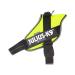 JULIUS K-9 IDC Powair dog harness size: XL / 2 Neon Neon XL/2
