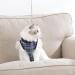 Dotoner Katzenbody After Op | Anti-Trolley Body for Cat Recovery | Post-Surgery Clothing for Cats & Dogs (Small Marine) - Buy Online on GoSupps.com