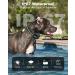 Dog Training Collar with 3300Ft Remote Range 3 Training Modes Sound/Vibration/Strong Vibration Security Lock IP67 Waterproof & Rechargeable Anti Barking Collar for Large Medium Small Dogs (GREEN) - Buy Online on GoSupps.com