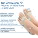 Orthopedic Compression Socks for Men & Women - 5 Pairs of Gray Antibunion Health Socks & Toe Support - Buy Online on GoSupps.com