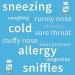 Creekside Naturals Snifflex Cold & Allergy Relief for Kids with Elderberry - Pediatrician Formulated - Immune Support with Quercetin & Bromelain - Zero Sugar, Vegan - 60 Soft Chewables - Buy Online on GoSupps.com