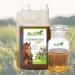 Stiefel Liver Herbal Juice 1 L - Buy Online on GoSupps.com