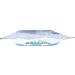 Charlie's Soap Biodegradable Oxygen Bleach 1.3 lbs - 2 Pack - Buy Online on GoSupps.com