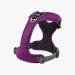 DOG Copenhagen Dog Harness V2 Comfort Walk Pro - Purple Passion XL | Premium Comfortable Dog Harness for Large Breeds - Buy Online on GoSupps.com