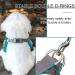 Rennaio No Pull Dog Harness & Leash Set for Small/Medium Dogs - Adjustable Ultra Comfortable with Puppy Dishes & Clips - Seeblau S - Buy Online on GoSupps.com