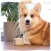 MjAMjAM - Premium Wet Dog Food - Naturally Delicious - Organic Chicken with Carrots Pack of 6 (6 x 200g) Grain Free with Extra Meat - Buy Online on GoSupps.com