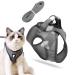 Cat lines with dishes for cats dog harness cat dishes with leash cat harness and leash cat dishes little cat cat dishes cat dishes cat dishes and line set outdoor walking gray m