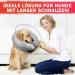 Aschpas Inflatable Break Ruff Dog Collar - Protective Layer for Long Snouts | Cat & Dog Leak Protection | Comfort After Surgery | Size M - Buy Online on GoSupps.com