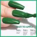 Green Nail Polish Quick Dry Nail Polish Green Nail Varnish - Long Lasting No UV Needed Dark Green Nail Polish for DIY Nail Art Manicure at Home Salon French Manicure Gel Polish 13ml - Buy Online on GoSupps.com
