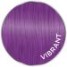 Colour-Freedom Gloss Pro Mystic Purple 150ml | Semi-Permanent Vegan Hair Colour | PurePlex Formula | Lasts 6-10 Washes | Ammonia-Free - Buy Online on GoSupps.com