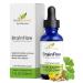 Soltrients Herb-Science BrainFlow Herbal Brain & Mood Support | Liquid Supplement with Ginkgo Ginseng Gotu Kola & St. John s Wort | Focus Clarity Mood & Circulation | Alcohol-Free 1 fl oz