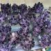 Natural Crystal Rough Natural Quartz Purple Ghost Phantom Cluster Crystal Stones specimens for Home Decor - (Color: Random delivery) - Buy Online on GoSupps.com