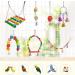 Allazone 17-Piece Bird Toy Set for Parrots Conures & Lovebirds - Durable Wood & Bell Hanging Toys for Small Birds - Buy Online on GoSupps.com