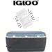 Igloo Cooler Plastic Hinges for Ice Chests (Set of 3) - Buy Online on GoSupps.com