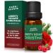 Park Scents Liberty Square Christmas Fragrance Oil Theme Park Winter Holiday Xmas Christmas Essential Oils for Diffuser with Green Leaves Pine Fir Clove Raspberry Rose Musk Made in USA (10ml)
