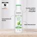  lavera lavera Freshness and Balance Care Shampoo - Silicone-free - Gentle cleansing and soft freshness - Vegan - Natural cosmetic - 250 ml - Buy Online on GoSupps.com