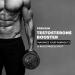 Testosterone Supplement for Men | Maximum Muscle Growth Stamina & Performance Booster | Test Boost Max Gummies | 60ct Male Enhancement & Health Aid - Buy Online on GoSupps.com