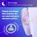 Alpine SleepDeep Mini - Soft Ear Plugs for Sleeping and Concentration - New 3D Oval Shape and Noise Reducing Gel for Better Attenuation - 27dB - Ideal for Side Sleeper - 1-Pair Reusable: S - Buy Online on GoSupps.com