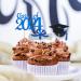 Geanlian 2022 Graduation Cupcake Toppers (72 Pieces) Class of 2022 Cupcake Toppers 2022 Grad Graduation Appetizer Dessert Decoration Picks - Buy Online on GoSupps.com