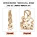 DT Cheryl French Curls Braiding Hair - 8 Pack Pre-Stretched 24 Inch Loose Wave Synthetic Extensions (27/613#) - Perfect for Braids & Styling - Buy Online on GoSupps.com