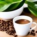 Instant Coffee | Energy Coffee | Herbal Coffee - Buy Online on GoSupps.com