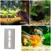 POPETPOP 10pcs Aquarium Glass Scrubber Refills Stainless Steel Razor Cleaner Right Angle Replacement for Aquarium Glass Fish Tank - Buy Online on GoSupps.com