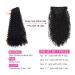 BHF 26 inch Kinky Curly Clip In Hair Extension - 140g Double Weft Full Head Synthetic Hair Extensions for Women - Japanese Heat Resistance Fiber - 7 Pieces (Curly-2) - Buy Online on GoSupps.com