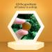 Honibe Honey Drops | 100% Pure Honey | Solid Honey Sweetener | Soothes Sore Throat | Pack of 12 20 Drops per Pack (240 Drops) - Buy Online on GoSupps.com