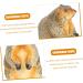 OUNONA 4 Pcs Animal Model Mini Resin Animals Decor Miniature Groundhog Figure Mini Figurine Mini Top Hat Groundhog Stuffed Animal Kids Toys Desk Trinkets Plastic Child Rabbit Bonsai As Shownx2pcs 6x6cmx2pcs - Buy Online on GoSupps.com