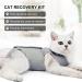 Premium Katzenbody for Cats | Post-Surgery Recovery Suits & E-Collar Alternatives | International Shipping - Buy Online on GoSupps.com