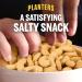 PLANTERS Cashew Halves & Pieces 26 oz. Canister | Energy Snacks for Adults | Kosher Certified - Buy Online on GoSupps.com
