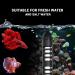 100W Submersible Aquarium Heater with Dual Temperature Displays - Ideal for Fish Tanks, Turtles, and Betta Fish - Buy Online on GoSupps.com