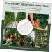 SEWOART 1 Set Shaping Clear Mold Vegetable DIY Molds Melon Stereotypes Plastic Forming Machine - Buy Online on GoSupps.com