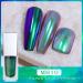 CAOQAO New Nail Beauty Liquid Powder Powder Nonfading Powder Liquid Powder Fairy Powder Manicure 5ml Gel Base Coat And Top Coat (J One Size) 1 count (Pack of 1) J - Buy Online on GoSupps.com