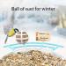 Netvue Multifunction Bird House Stand & Feeder | Versatile Bird Feeding Station for Wild Birds - Ideal for Potions Fruits & Vegetables - Buy Online on GoSupps.com