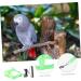 Beavorty 5 Sets Bird Leash Suspend Conure Harness Lizard Outdoor Birds Harness Leash Car Supplies 12X6X1.3CMx5pcs Greenx5pcs - Buy Online on GoSupps.com