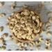  LA PLANTIGO Whole cashews (without salt) 250 g - LA PLANTIGO - Buy Online on GoSupps.com
