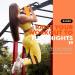 Assisted Pull Up Band - 210 lbs | Multifunctional Exercise Band for Strength Training & Workouts | High Intensity Fitness Tool | Orange - Buy Online on GoSupps.com