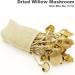 Dried Shitake Mushrooms Willow Mushrooms 100g Vegan - Buy Online on GoSupps.com