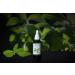 Solstevia liquid stevia drops pure 100 liquid 50 ml New recipe Bitterness naturally extracted from the stevia plant Vegan and nonGMO Natural sweetener sugar substitute No calories - Buy Online on GoSupps.com