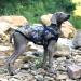 Shop Waterproof Dog Vest & Coat - Warm Winter Harness in 9 Colors & Camouflage (3XL) - Buy Online on GoSupps.com
