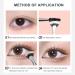 2PCS Eyelash Brush& Angled Eyeliner Brush Double Layer Fiber Folding Angle Scalloped Lash Brush Portable Lash Fan Brush with Smooth Long Handle for Travel - Buy Online on GoSupps.com