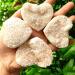 Natural Magic 1PCS 45-55mm Natural Heart-Shaped Raw Quartz Crystal Cluster Specimen Angel Aura Gem Home Decor ERBDRGAZ - Buy Online on GoSupps.com
