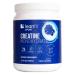 LeanFit Sport CREATINE MONOHYDRATE Powder Unflavored - Informed Choice Certified Micronized & Pharmaceutical Grade Creatine Gluten-Free Vegan 5g Creatine Per Serving 100 Servings 17.64oz Tub