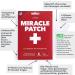 Lifebio Miracle Patch - Party Recovery with DHM Milk Thistle B Vitamins Glutathione & More | 6 Patches for Ultimate Wellness - Buy Online on GoSupps.com
