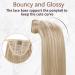 Runature 35cm Real Hair Braid Extensions - Blonde Highlights Ponytail | 70g Remy Human Hair #16/22 - Buy Online on GoSupps.com
