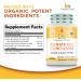 Organic Veda Turmeric & Ginger Capsules 300 Veggie Capsules - Joint Support, 100 Days Supply - Buy Online on GoSupps.com